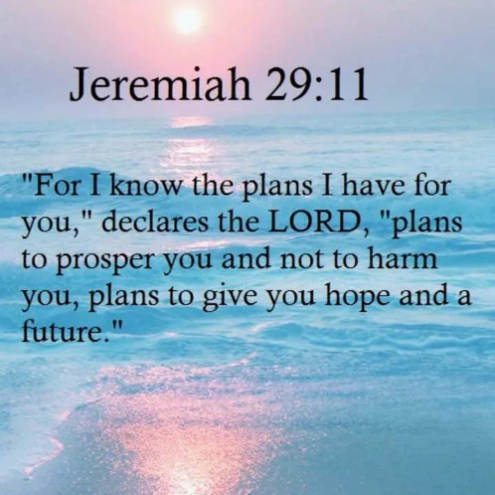 The plans I have for you (Jeremiah 29)